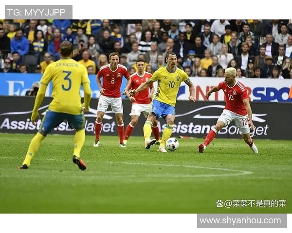 列支敦士登与瑞典足球对决谁能在比赛中胜出分析与预测