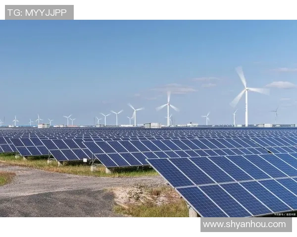 普马斯品牌崛起之路：探索创新与可持续发展的完美结合