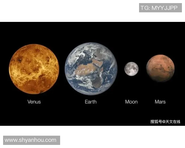 天猫与水星的大小对比分析揭示宇宙中星球的奇妙差异与特征